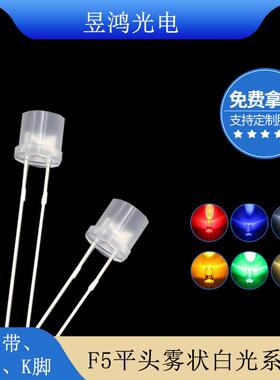f5平头雾状白光 白色led灯珠 5mm发光二极管led厂家直销
