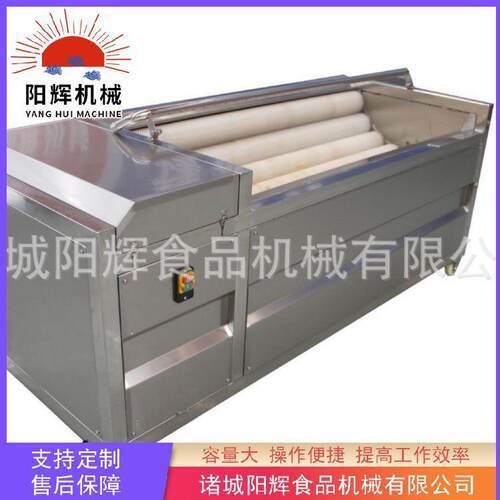 供应丹参去皮清洗机全自动毛辊清洗机设备胡萝卜去皮机设备