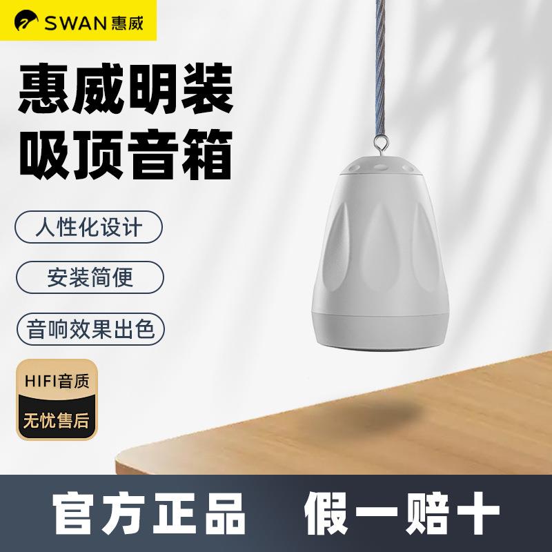 HIVI/惠威明装悬挂吸顶音箱嵌入式音响套装吊顶店铺背景音乐喇叭