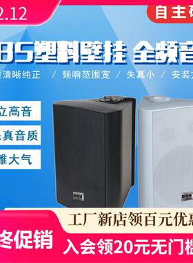 壁挂音箱会议音箱多功能厅定阻定压店铺超市背景音乐广播音响音箱