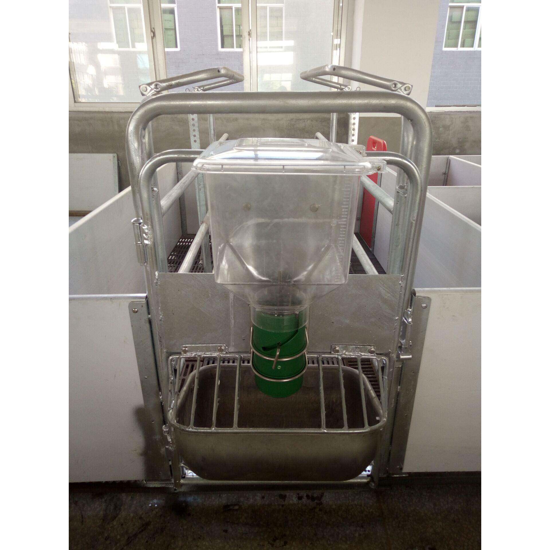 福建泉州晋江养猪设备机械欧式母猪分娩床双体产床