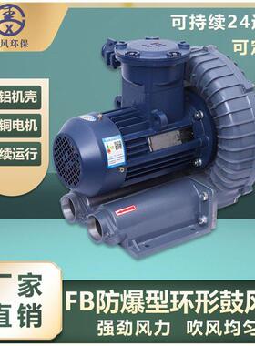 FB-1防腐蚀防爆高压鼓风机BT4CT4耐高温旋涡气泵750w环形鼓风机
