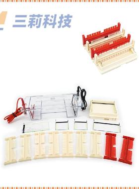 水平电泳仪DYCP-31DN型琼脂糖水平电泳仪
