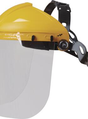 DELTA/代尔塔101304面屏套装防化防冲击聚碳酸酯含面屏支架BALBI2