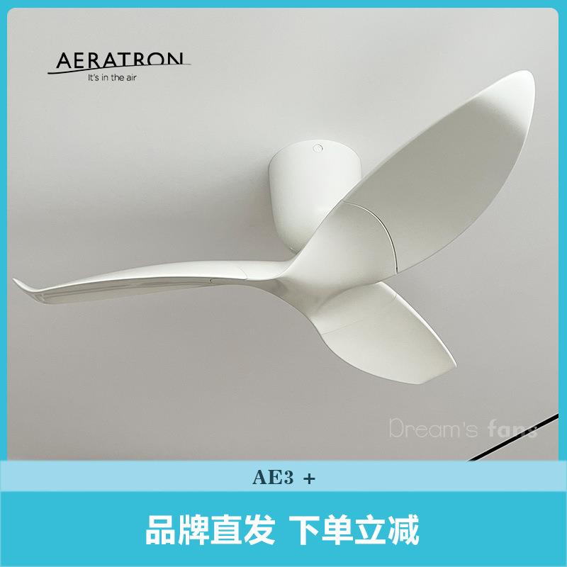 进口AE3+灯饰吊扇现代简约时尚静音高品质设计师风扇