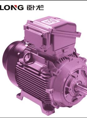 出口欧美NEMA标准电机NEXP-Division1GroupFGT3C防爆电机7.5
