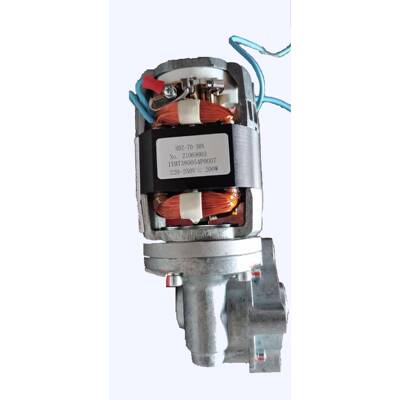 1YHT380054P007GCE0940084P0126储能电机200WDC220VVD4储能电机