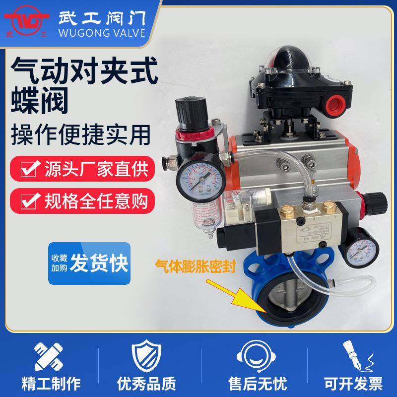 D671X球墨铸铁不锈钢板气动膨胀式蝶阀气动充气式煤粉用蝶阀
