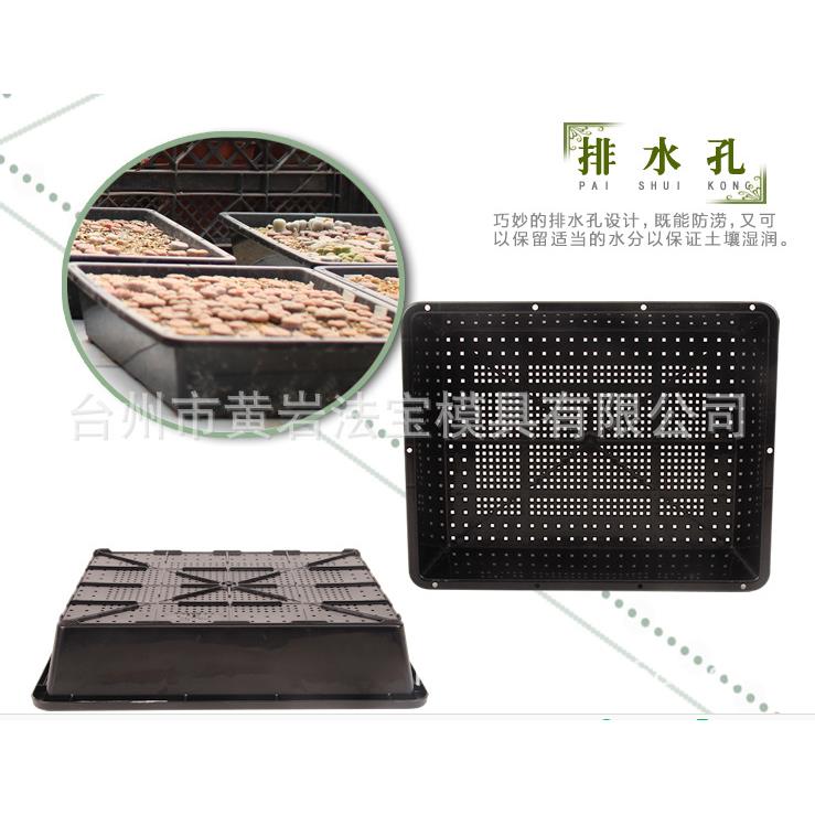 塑料多肉种植盒花盆育苗盘育苗盆育苗箱高品质模具定制注塑