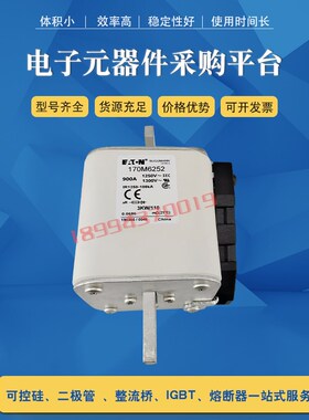 快速保险丝熔断器170M6252 170M6253 170M6254 170M6256全新