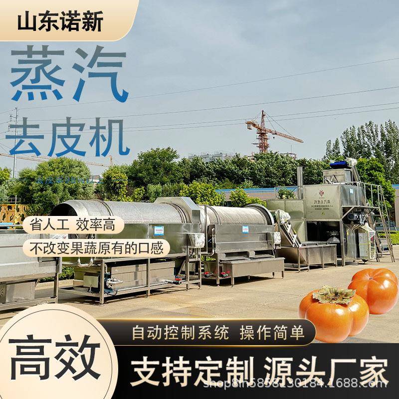 诺新红薯蒸汽去皮机土豆马铃薯脱皮设备梨子丁加工削皮机