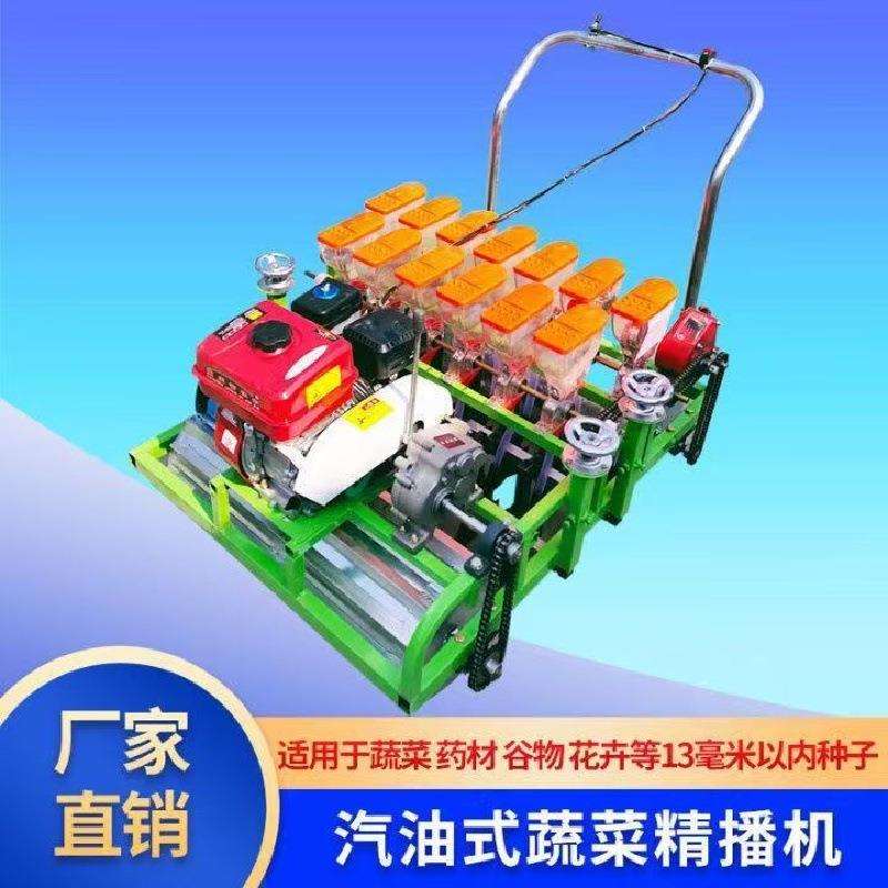 免间苗青菜点播机 六行蔬菜育苗播种机 超精量娃娃菜精播机