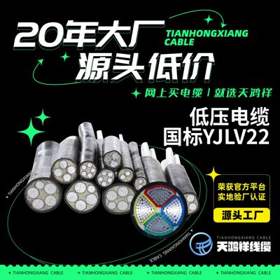 供应地下防水铝电缆 隧道低压橡套电缆YJLV22 3*35+1*16绝缘性好