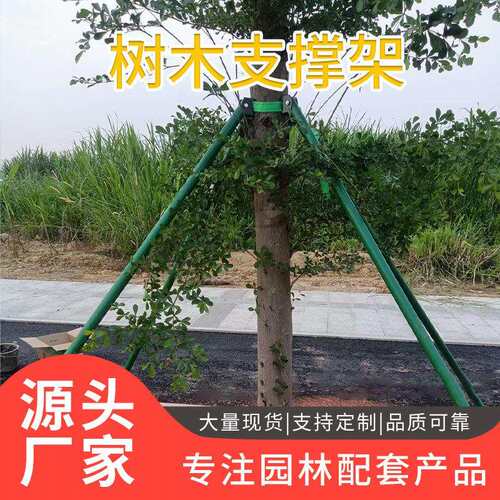 树木支撑架钢管固定器园林绿化支撑杆防风树架绿植镀锌管树架