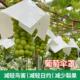 葡萄防晒遮阳罩阳光玫瑰PE塑料伞帽果园大棚防鸟遮雨保护塑料伞罩