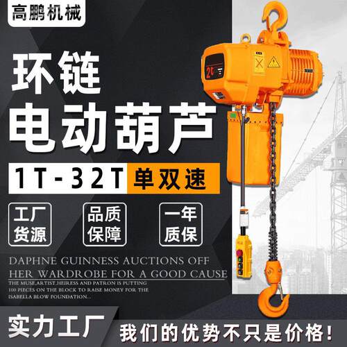 单双速单速0.5t环链电葫芦 1t2t/36t5t10tm9米固定/式环链电/动葫