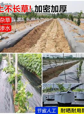 加工叠片黑色防草布孔用p打p切片盖草布 透HFK水园农林防草布