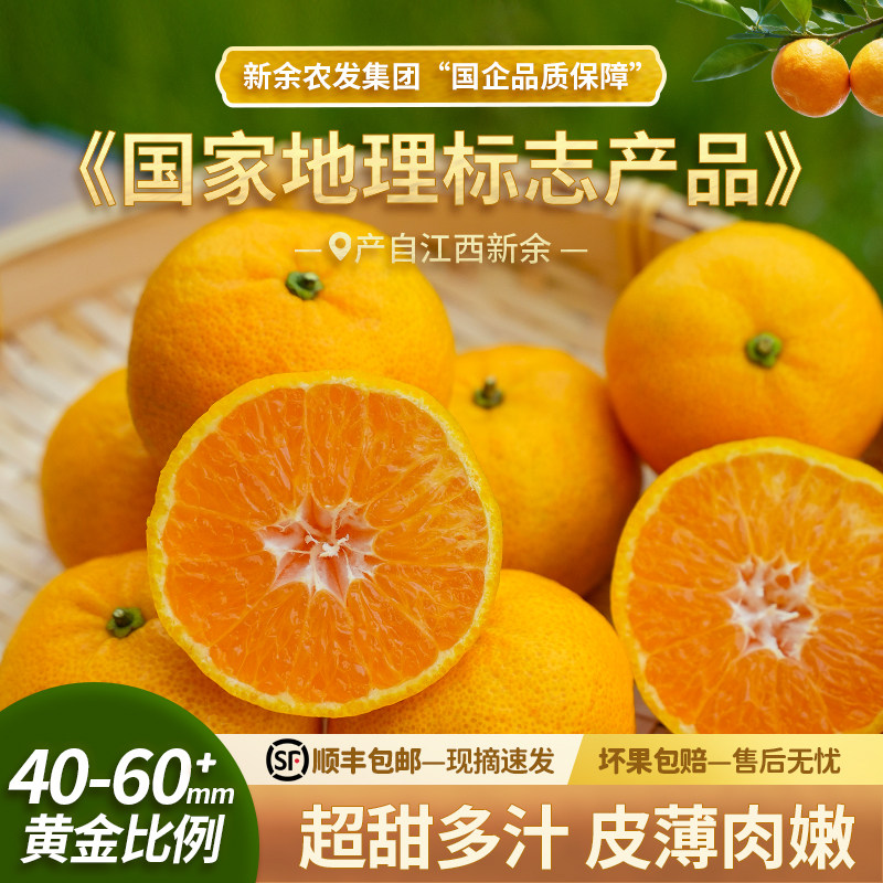 【顺丰包邮|坏果包赔】新余蜜桔当季新鲜水果橘子10斤装桔子蜜橘,水产肉类/新鲜蔬果/熟食,桔子,淘宝优惠券,粉丝福利购,淘宝优惠卷