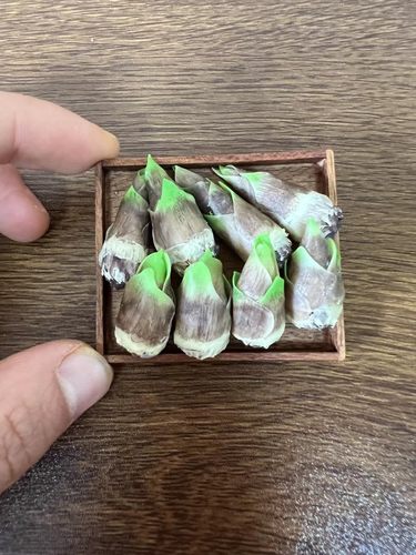 仿真粘土微缩竹笋春笋水果蔬菜模型摆件娃娃屋装食玩收藏黏土