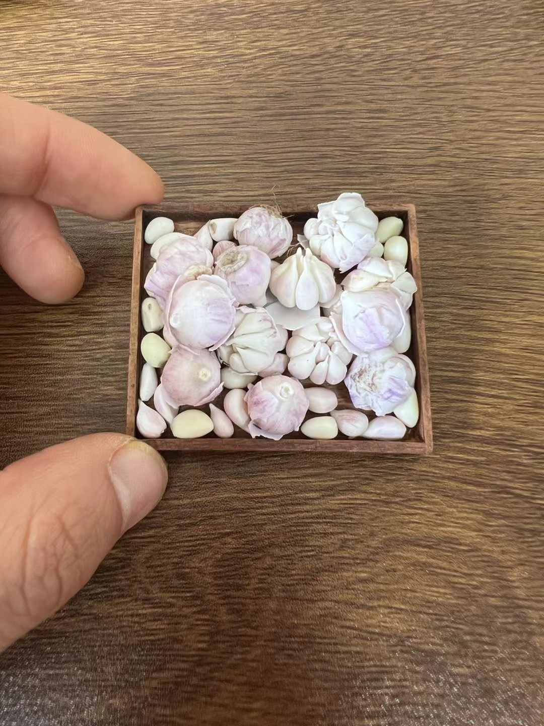 仿真粘土微缩大蒜头水果蔬菜模型摆件娃娃屋装食玩收藏黏土,模玩/动漫/周边/娃圈三坑/桌游,BJD场景道具娃屋,淘宝优惠券,粉丝福利购,淘宝优惠卷