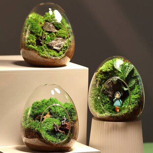 苔藓微景观生态瓶闷养办公室内桌面创意造型绿植小盆栽摆件好养活