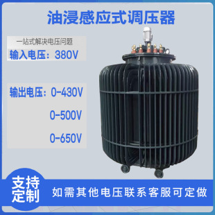TSJA 100KVA 500V 调压器 650V TDJA 430V 油浸感应式 380V变0
