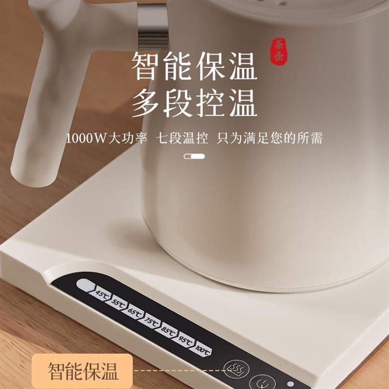 德国烧水壶泡茶恒温保温冲茶不锈钢咖啡煮水壶电热水壶温控手冲壶