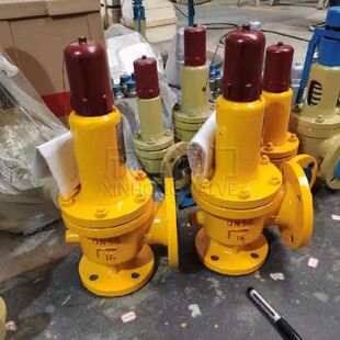 美标 耐腐蚀 氯气 液化气 欣弘阀门 法兰 A42F46不锈钢衬氟安全阀