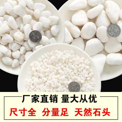 小白石子白色鹅卵石 日式园林枯山水砾石  庭院造景雪花白砂白沙
