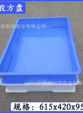 供应新料塑胶方盘白色蓝色养殖小白鼠黄粉虫塑料箱饲养盘子