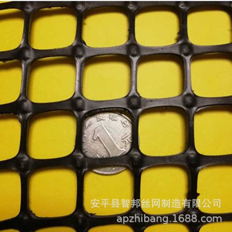 塑料土工格栅 塑料网格 养殖围栏网 养鸡养鸭漏粪铺底网 绿色垫网