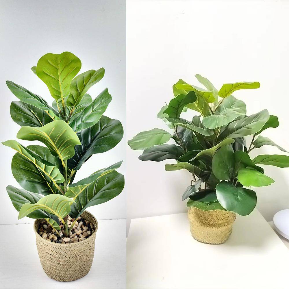 【折扣价】亚马逊仿生盆景仿真植物花卉琴叶榕客厅绿植盆栽带花盆