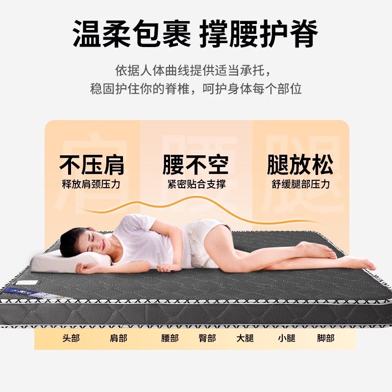 天然环保3e椰棕床垫家用卧室宿舍专用棕垫偏硬可定制折叠棕榈垫子