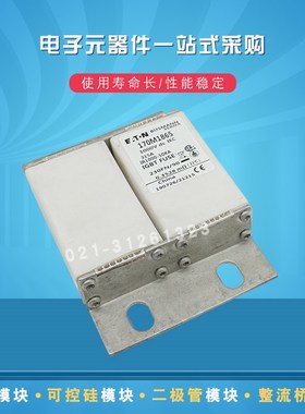170M1850 1851 1852 1853 1860 1861 1862 1863快速熔断器保险丝