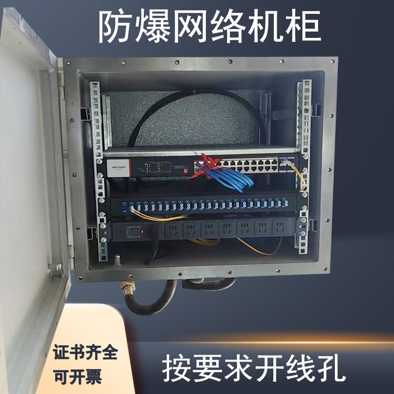 防爆网络机柜防腐配电箱柜弱电柜交换机箱交换机防爆柜PDU支架