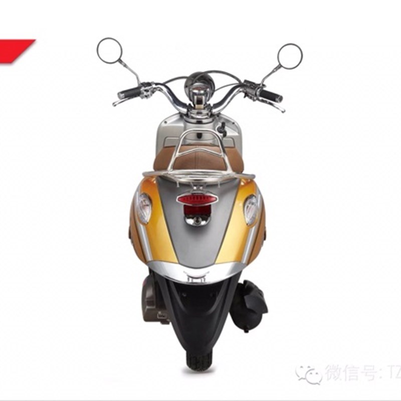 轩伟大龟王后架晶龟王电动摩托车E后货架电镀后货架不锈钢靠背