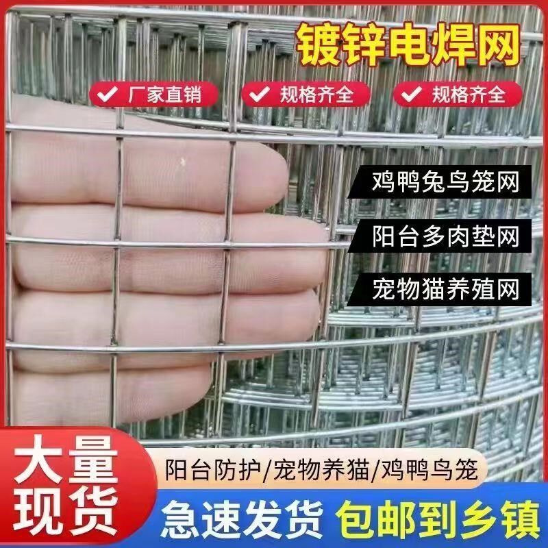 镀锌钢丝网防网铁丝离鸡鸭养殖锈防鼠网阳台防护圈地隔网网玉米网