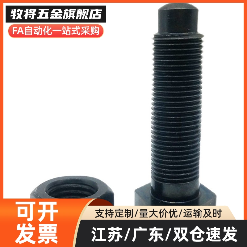 PBE01代/ 定位螺栓STBA4/5/6/8/10/12/16 粗牙/ 螺纹前端R型