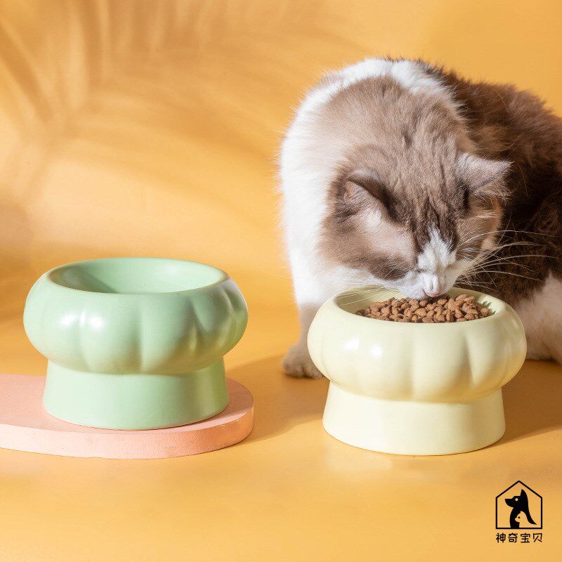 可爱猫碗陶瓷猫食盆大口径狗碗幼猫高脚护颈防打翻猫咪喝水碗宠物