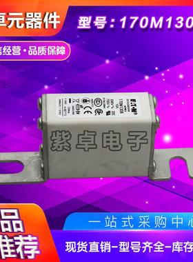 170M1308170M1309170M1310170M1311170M1312170M1313熔断器