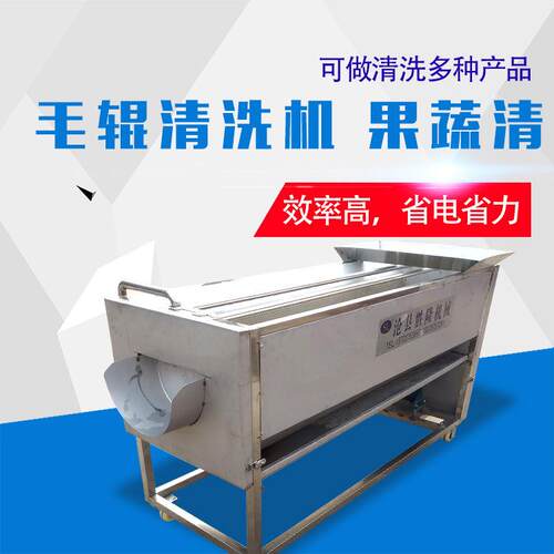 杏干毛辊喷淋清洗机气泡喷淋清洗工作线不伤果果蔬加工清洗