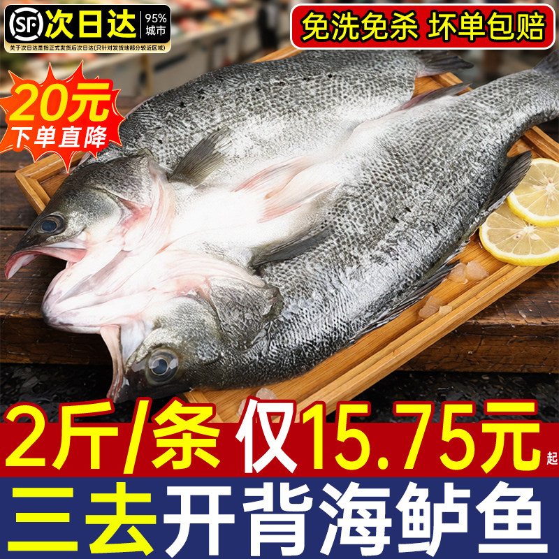 海鲈鱼新货鲜冻烤鱼半成品清蒸预