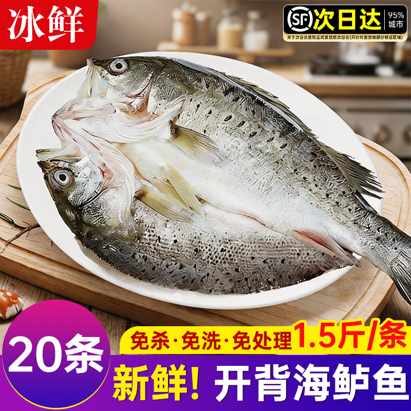 海鲈鱼新货鲜冷冻烤鱼半成品清蒸