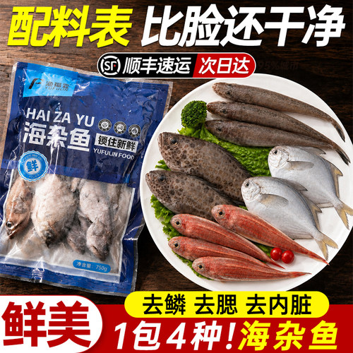 海杂鱼新鲜冷冻水产大杂烩去内