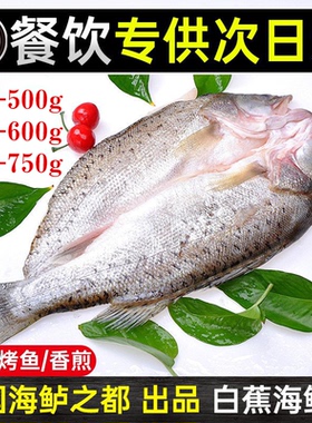 海鲈鱼开背新鲜海鱼冷冻烤鱼深海鱼白蕉七星海卢鱼半成品商用批发