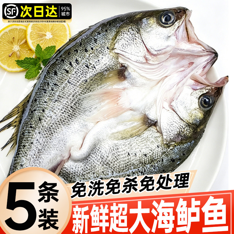 海鲈鱼新鲜冷冻烤鱼半成品清蒸预制菜开背清水鲜活鲈鱼官方旗舰店