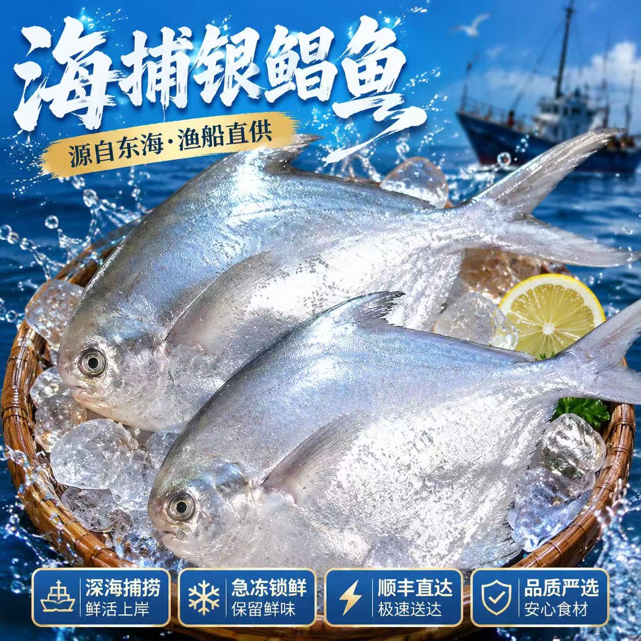 新货鲜银鲳鱼金鲳鱼冷冻海鲜水产