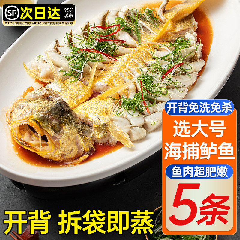 清蒸鲈鱼预制菜野生白蕉三去特大