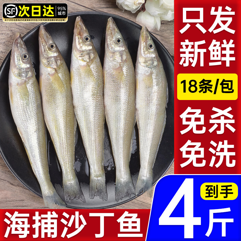 沙丁鱼新鲜冷冻海杂鱼大全炸鱼生野小鱼水产沙钻鱼沙尖去鳞去内脏,水产肉类/新鲜蔬果/熟食,淡水鱼类,淘宝优惠券,粉丝福利购,淘宝优惠卷