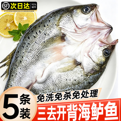 海鲈鱼新货鲜冷冻烤鱼半成品清蒸